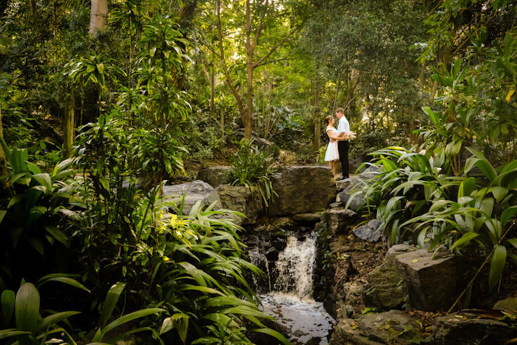 Parks and Gardens for Brisbane Weddings